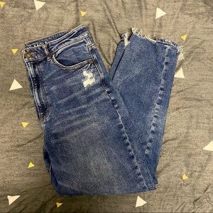 American Eagle Mom Jeans